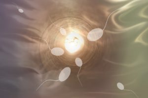 精索静脉曲张和精子数量低：如何揭示真正的联系？