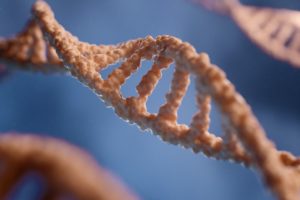 Genetische factoren en een laag aantal zaadcellen: hoe kunnen genetische bedreigingen aan het licht worden gebracht?