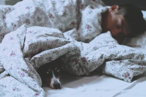 Как да подобрим качеството на съня, да лекуваме безсънието и в крайна сметка да увеличим броя на сперматозоидите?